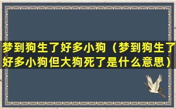 梦到狗生了好多小狗（梦到狗生了好多小狗但大狗死了是什么意思）