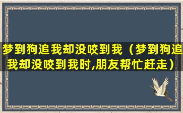 梦到狗追我却没咬到我（梦到狗追我却没咬到我时,朋友帮忙赶走）