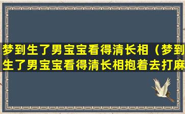 梦到生了男宝宝看得清长相（梦到生了男宝宝看得清长相抱着去打麻将）