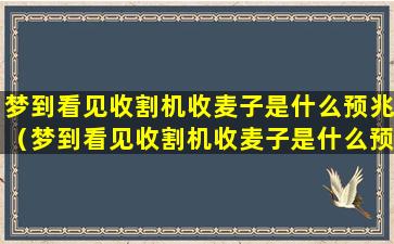 梦到看见收割机收麦子是什么预兆（梦到看见收割机收麦子是什么预兆解梦）