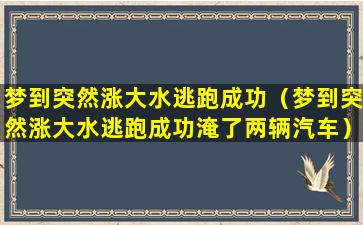 梦到突然涨大水逃跑成功（梦到突然涨大水逃跑成功淹了两辆汽车）