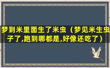 梦到米里面生了米虫（梦见米生虫子了,跑到哪都是,好像还吃了）