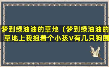 梦到绿油油的草地（梦到绿油油的草地上我抱着个小孩V有几只狗围着）