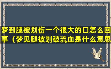 梦到腿被划伤一个很大的口怎么回事（梦见腿被划破流血是什么意思）