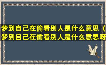 梦到自己在偷看别人是什么意思（梦到自己在偷看别人是什么意思呀）