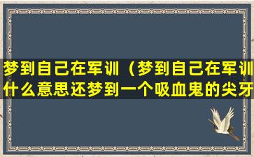 梦到自己在军训（梦到自己在军训什么意思还梦到一个吸血鬼的尖牙）