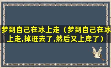 梦到自己在冰上走（梦到自己在冰上走,掉进去了,然后又上岸了）