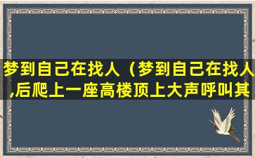 梦到自己在找人（梦到自己在找人,后爬上一座高楼顶上大声呼叫其名字）