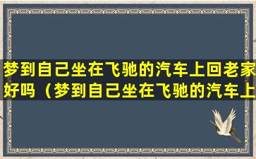 梦到自己坐在飞驰的汽车上回老家好吗（梦到自己坐在飞驰的汽车上回老家好吗周公解梦）