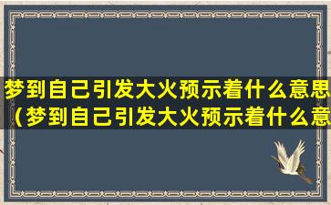 梦到自己引发大火预示着什么意思（梦到自己引发大火预示着什么意思周公解梦）