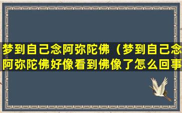 梦到自己念阿弥陀佛（梦到自己念阿弥陀佛好像看到佛像了怎么回事）