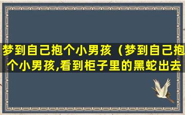 梦到自己抱个小男孩（梦到自己抱个小男孩,看到柜子里的黑蛇出去来了）