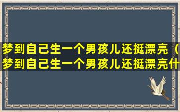 梦到自己生一个男孩儿还挺漂亮（梦到自己生一个男孩儿还挺漂亮什么意思）