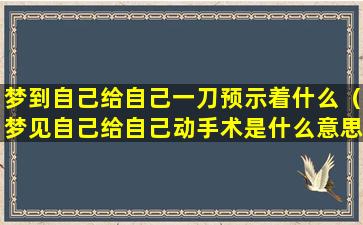 梦到自己给自己一刀预示着什么（梦见自己给自己动手术是什么意思）