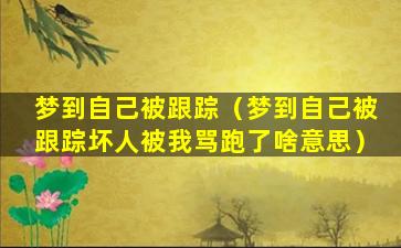 梦到自己被跟踪（梦到自己被跟踪坏人被我骂跑了啥意思）