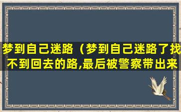 梦到自己迷路（梦到自己迷路了找不到回去的路,最后被警察带出来了）