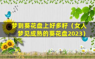 梦到葵花盘上好多籽（女人梦见成熟的葵花盘2023）