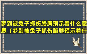 梦到被兔子抓伤胳膊预示着什么意思（梦到被兔子抓伤胳膊预示着什么意思呢）