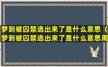 梦到被囚禁逃出来了是什么意思（梦到被囚禁逃出来了是什么意思周公解梦）