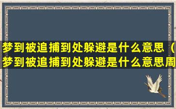 梦到被追捕到处躲避是什么意思（梦到被追捕到处躲避是什么意思周公解梦）