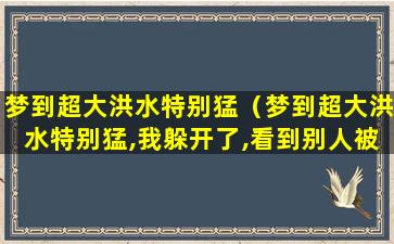 梦到超大洪水特别猛（梦到超大洪水特别猛,我躲开了,看到别人被水冲走）