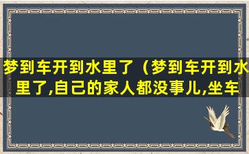 梦到车开到水里了（梦到车开到水里了,自己的家人都没事儿,坐车的一个死了）