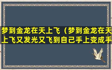 梦到金龙在天上飞（梦到金龙在天上飞又发光又飞到自己手上变成手镯）