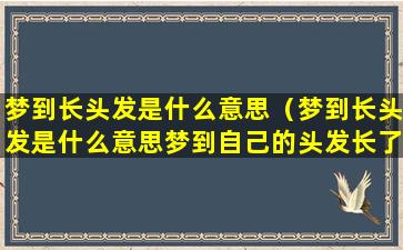 梦到长头发是什么意思（梦到长头发是什么意思梦到自己的头发长了）