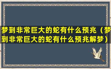 梦到非常巨大的蛇有什么预兆（梦到非常巨大的蛇有什么预兆解梦）