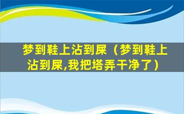 梦到鞋上沾到屎（梦到鞋上沾到屎,我把塔弄干净了）