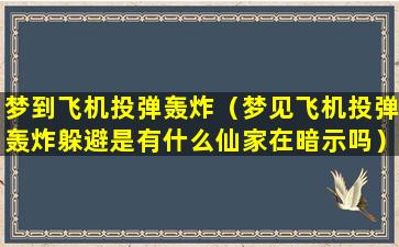 梦到飞机投弹轰炸（梦见飞机投弹轰炸躲避是有什么仙家在暗示吗）