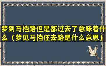 梦到马挡路但是都过去了意味着什么（梦见马挡住去路是什么意思）