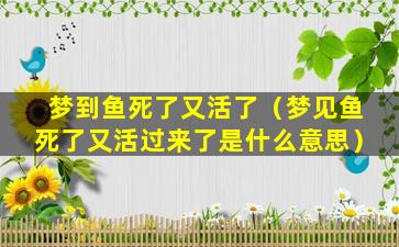 梦到鱼死了又活了（梦见鱼死了又活过来了是什么意思）