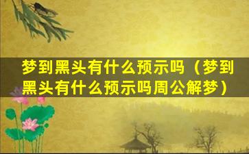 梦到黑头有什么预示吗（梦到黑头有什么预示吗周公解梦）