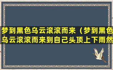 梦到黑色乌云滚滚而来（梦到黑色乌云滚滚而来到自己头顶上下雨然后飘走）