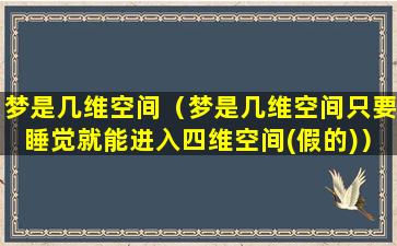 梦是几维空间（梦是几维空间只要睡觉就能进入四维空间(假的)）