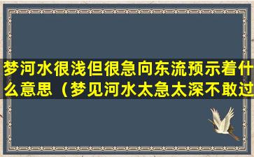 梦河水很浅但很急向东流预示着什么意思（梦见河水太急太深不敢过好不）