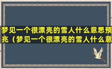 梦见一个很漂亮的雪人什么意思预兆（梦见一个很漂亮的雪人什么意思预兆解梦）