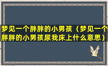 梦见一个胖胖的小男孩（梦见一个胖胖的小男孩尿我床上什么意思）