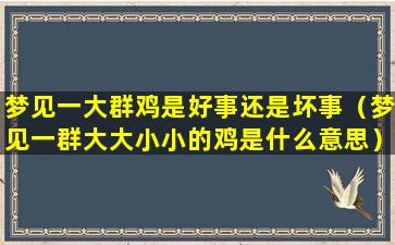 梦见一大群鸡是好事还是坏事（梦见一群大大小小的鸡是什么意思）