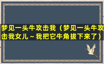 梦见一头牛攻击我（梦见一头牛攻击我女儿～我把它牛角拔下来了）