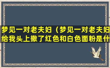 梦见一对老夫妇（梦见一对老夫妇给我头上撒了红色和白色面粉是什么）