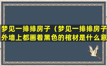 梦见一排排房子（梦见一排排房子外墙上都画着黑色的棺材是什么意思）