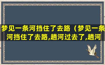 梦见一条河挡住了去路（梦见一条河挡住了去路,趟河过去了,趟河中有人阻挡）