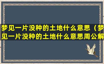 梦见一片没种的土地什么意思（梦见一片没种的土地什么意思周公解梦）