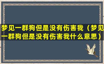 梦见一群狗但是没有伤害我（梦见一群狗但是没有伤害我什么意思）