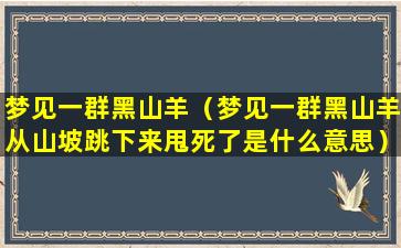 梦见一群黑山羊（梦见一群黑山羊从山坡跳下来甩死了是什么意思）