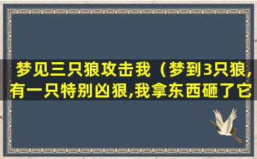 梦见三只狼攻击我（梦到3只狼,有一只特别凶狠,我拿东西砸了它）