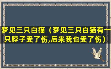 梦见三只白猫（梦见三只白猫有一只脖子受了伤,后来我也受了伤）