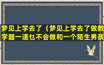 梦见上学去了（梦见上学去了做数学题一道乜不会做和一个陌生男孩同位）